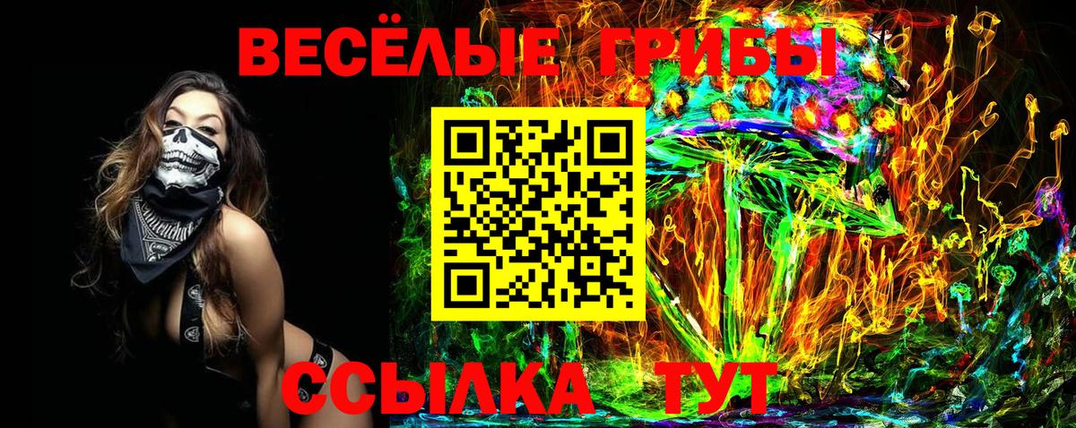 Псилоцибиновые грибы Cubensis  Вход с VPN  Гусь-Хрустальный  Псилоцибиновые грибы GOLDEN TEACHER 